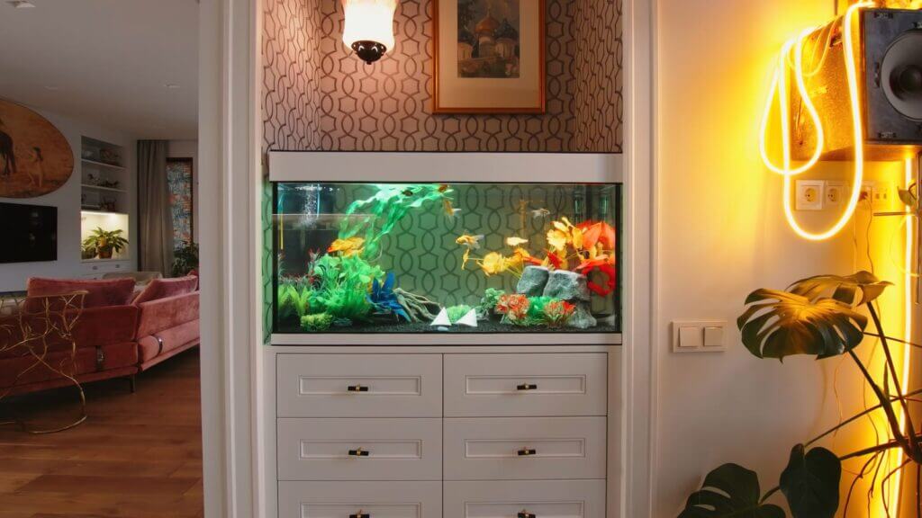 home fish tank