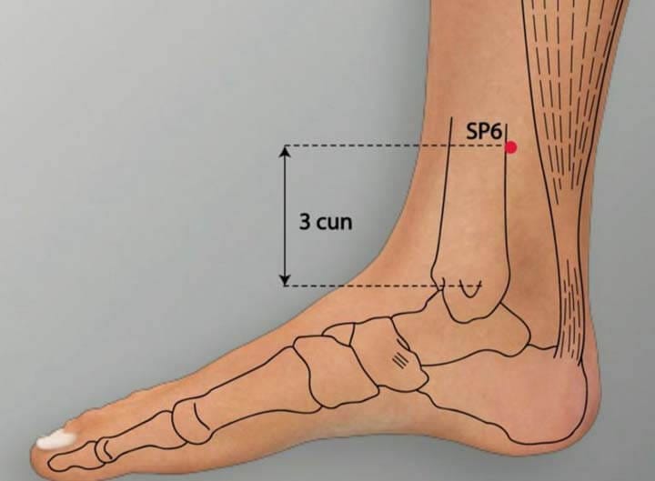 SP6 Spleen 6 Point